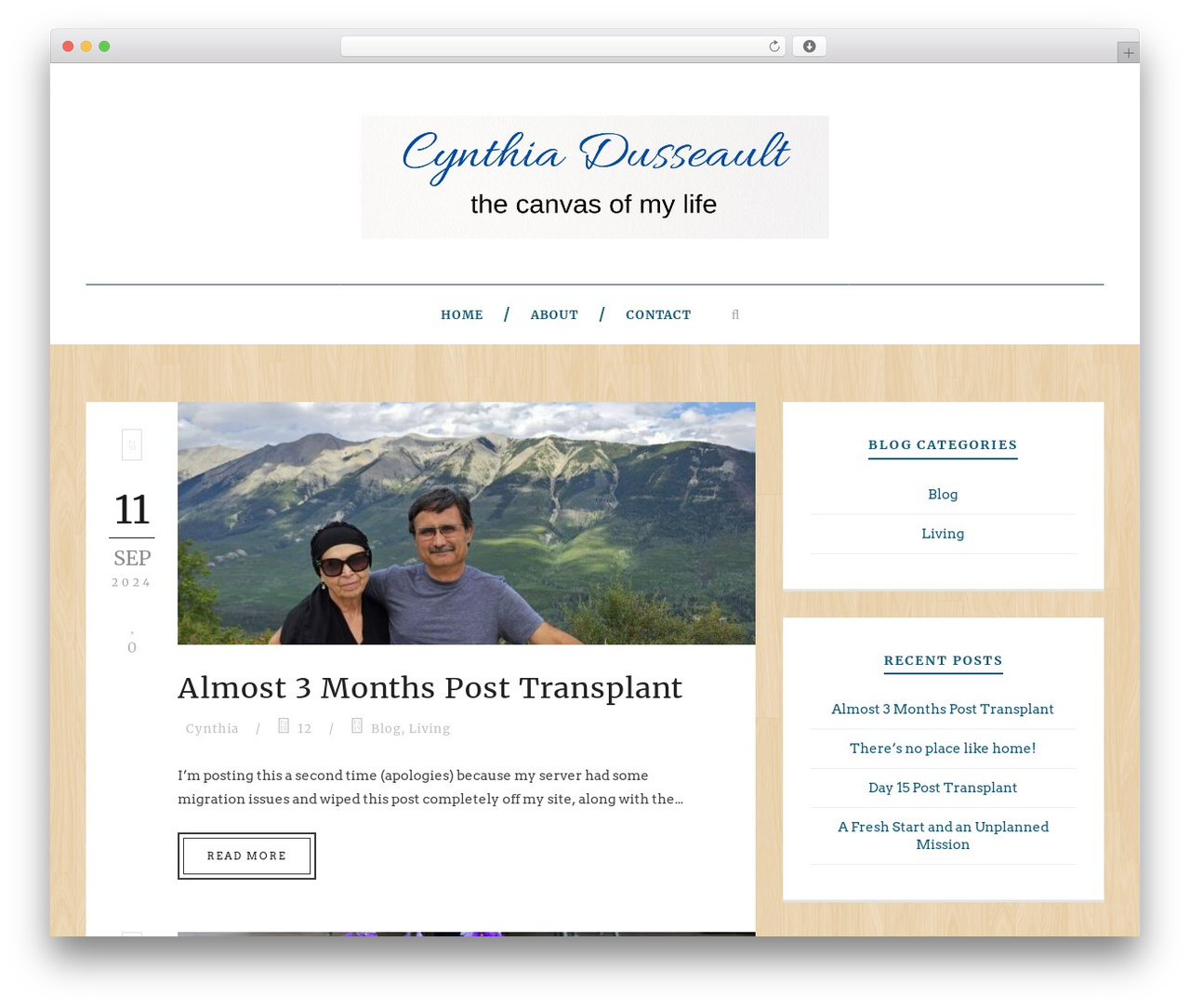 WordPress theme Simple Article - cynthiadusseault.ca