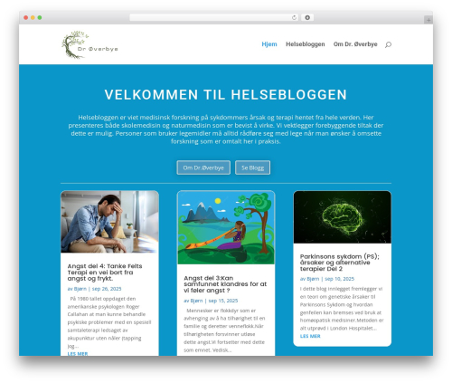 Visitors traffic real time statistics pro WordPress plugin - dr-overbye.no
