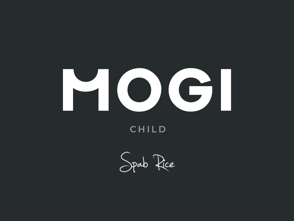 Theme WordPress Mogi Child