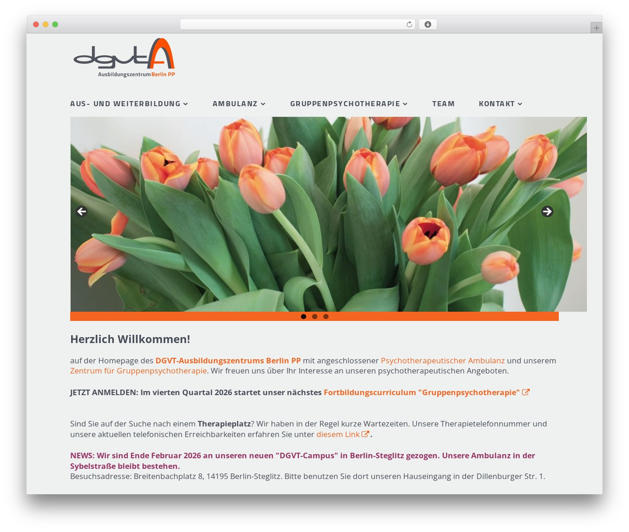 Tiny Framework WordPress theme design - dgvt-berlin.de Tiny Framework WordPress theme design - dgvt-berlin.de