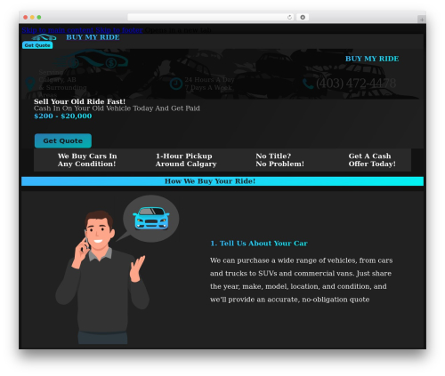 HTML Forms (html-forms) free WordPress plugin - buymyride.net HTML Forms (html-forms) free WordPress plugin - buymyride.net