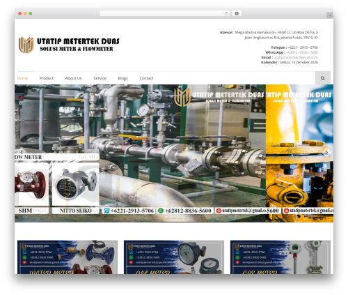 WP Store WordPress store theme - metersflowmeters.com