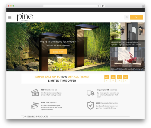 DavinciWoo best WordPress theme - pinethelabel.com
