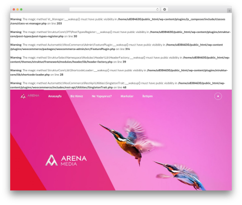 Struktur company WordPress theme - arenamedia.com.tr