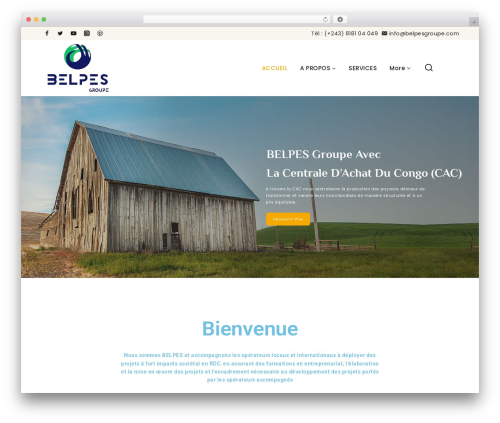 Theme WordPress baseTheme - belpesgroupe.com