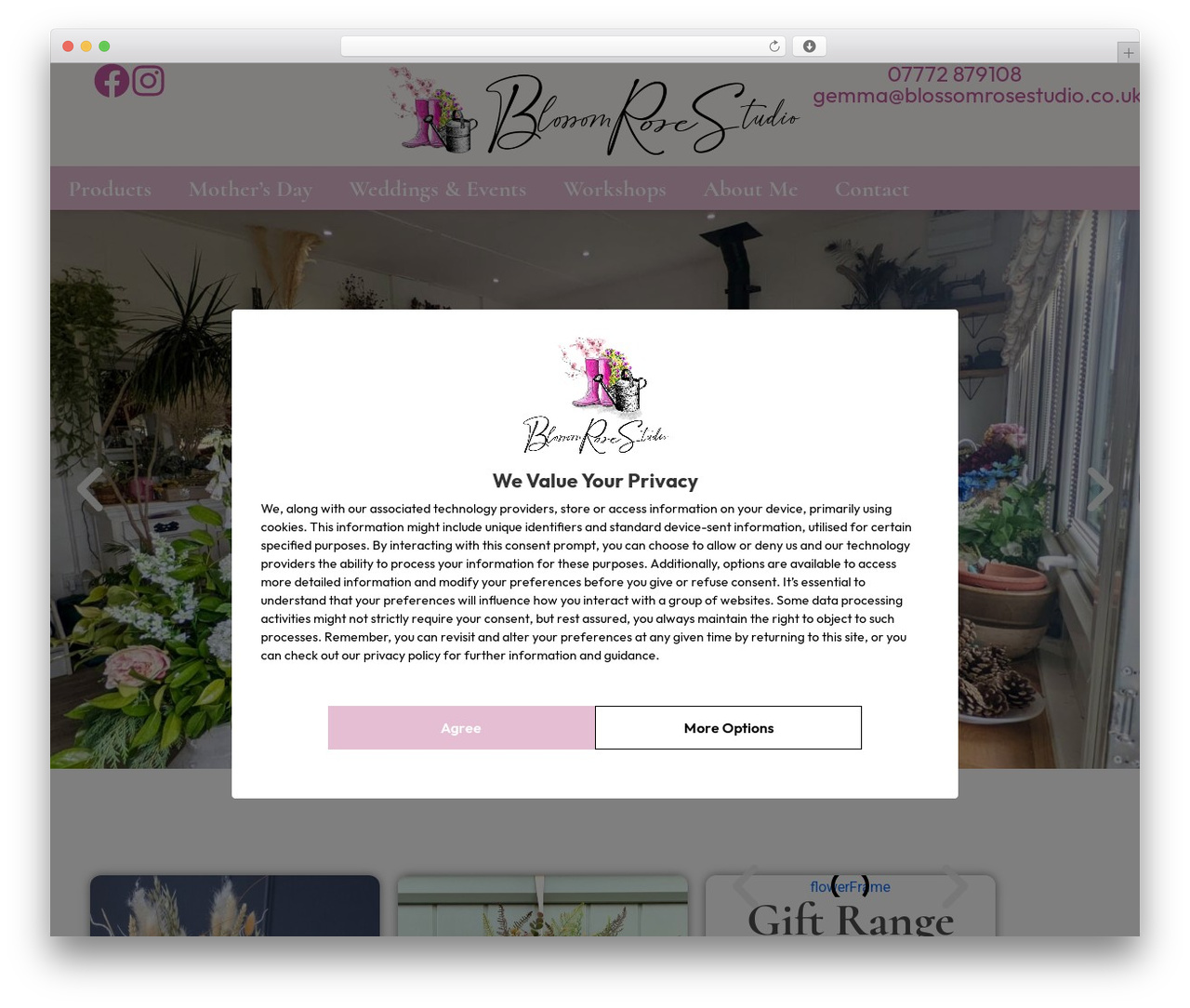 WordPress theme Hello Elementor - blossomrosestudio.co.uk