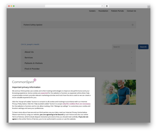Wp team pro WordPress plugin - chisjh.org