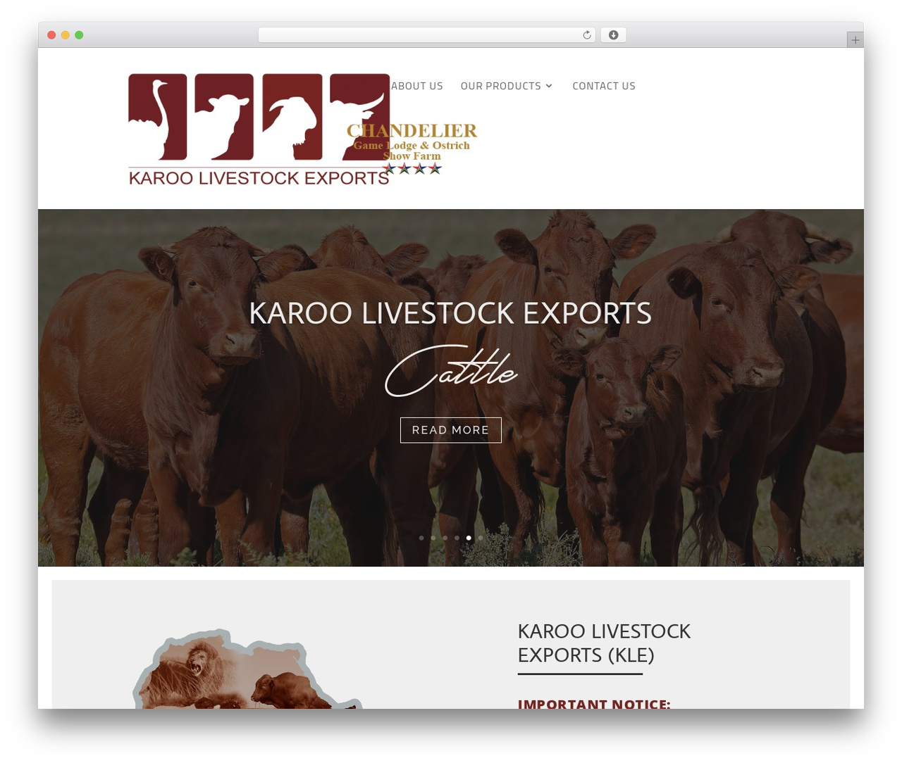 Divi WordPress theme - karooexports.com