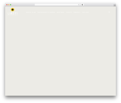 Everest forms pro WordPress plugin - liastimykonos.com