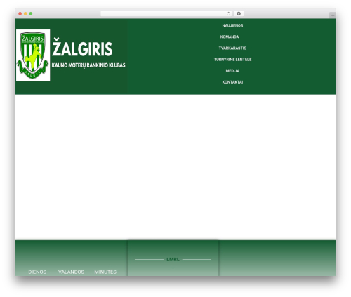 Elementor pro 2 WordPress plugin - hczalgiris.lt