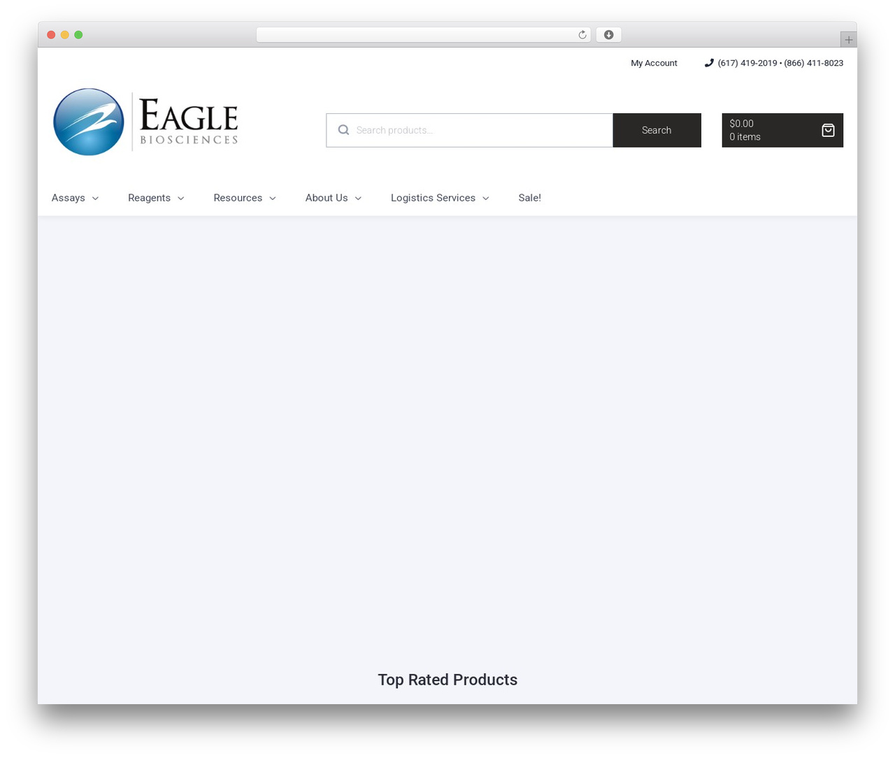 WordPress theme EagleBio - eaglebio.com WordPress theme EagleBio - eaglebio.com