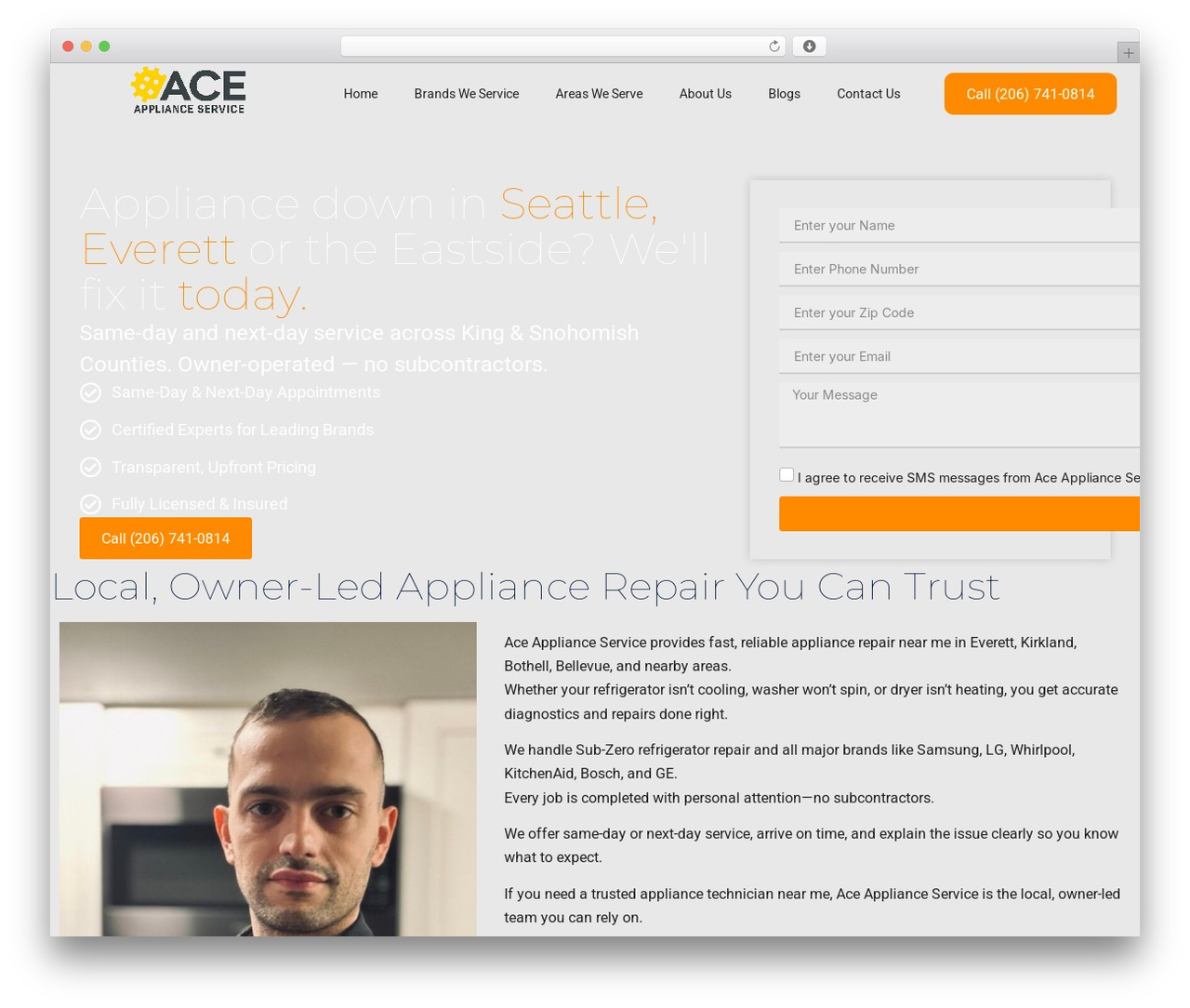 WordPress theme Hello Elementor - aceappser.com