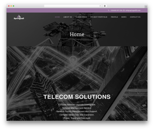 Elementor_old WordPress plugin - springcellit.com