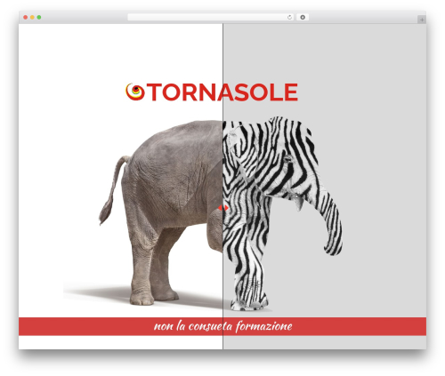 Revslider beforeafter addon WordPress plugin - tornasoleonlus.org