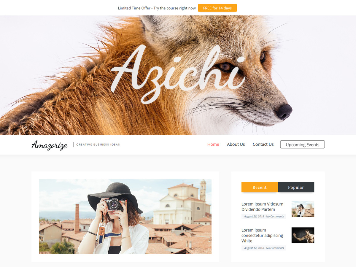 Amazorize top WordPress theme Amazorize top WordPress theme
