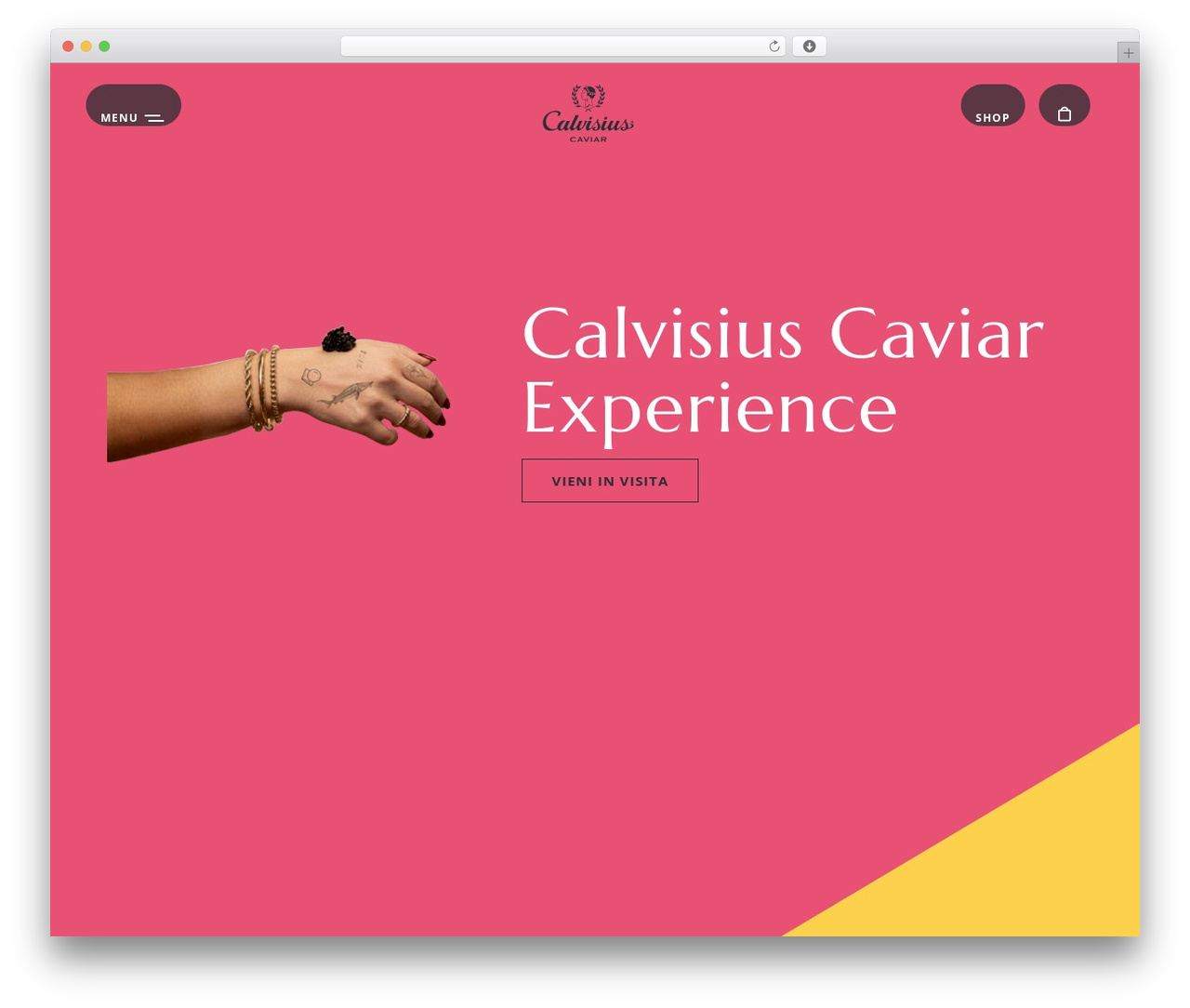 WSK Theme WP theme - www.calvisius.it