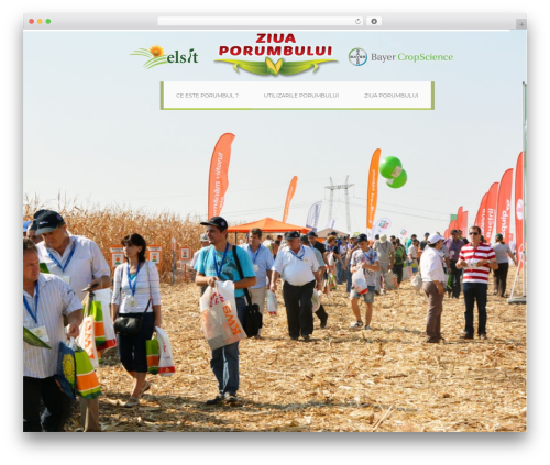 Radykal fancy gallery WordPress plugin - ziuaporumbului.ro