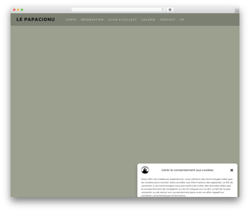 Best WordPress theme Caverta - papacionuparis.fr