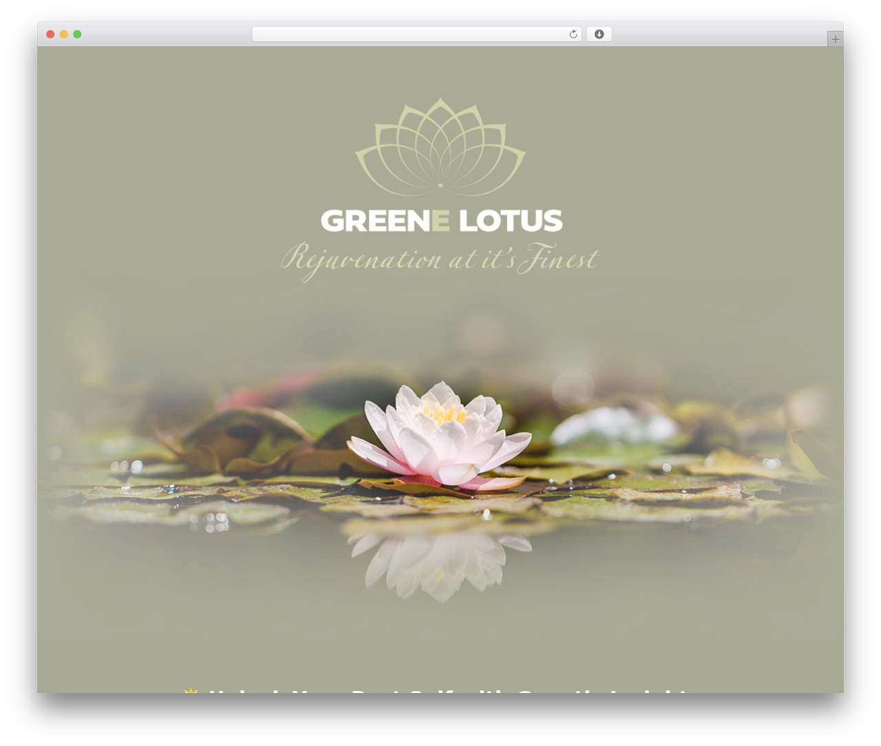 Divi theme WordPress - greenelotus.com Divi theme WordPress - greenelotus.com