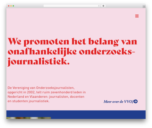 Pronamic Pay (pronamic-ideal) free WordPress plugin - vvoj.org