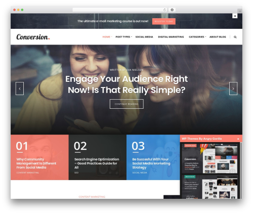 Ultimate Conversion theme WordPress - conversion.angrygorilla.us