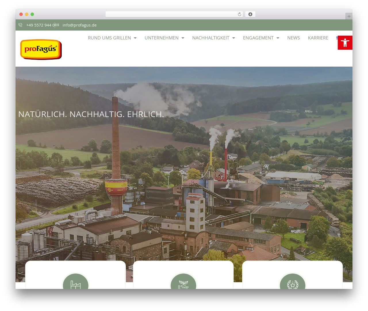WordPress theme Hello Elementor Child - profagus.de