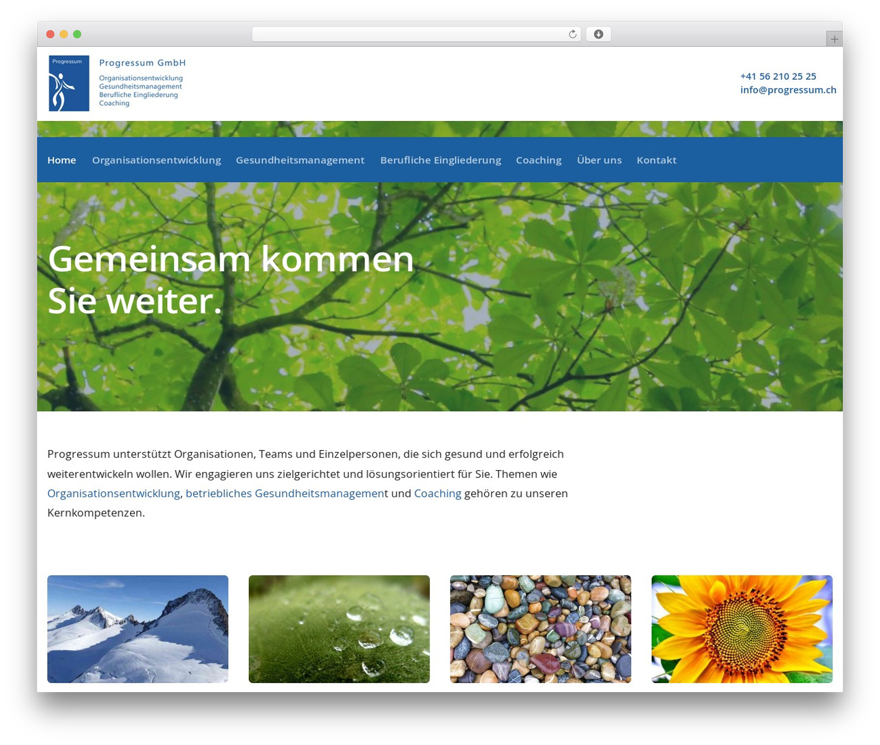 WordPress theme Scape Child - progressum.ch WordPress theme Scape Child - progressum.ch