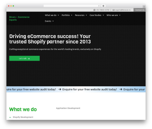Binary WordPress store theme - binaryic.com