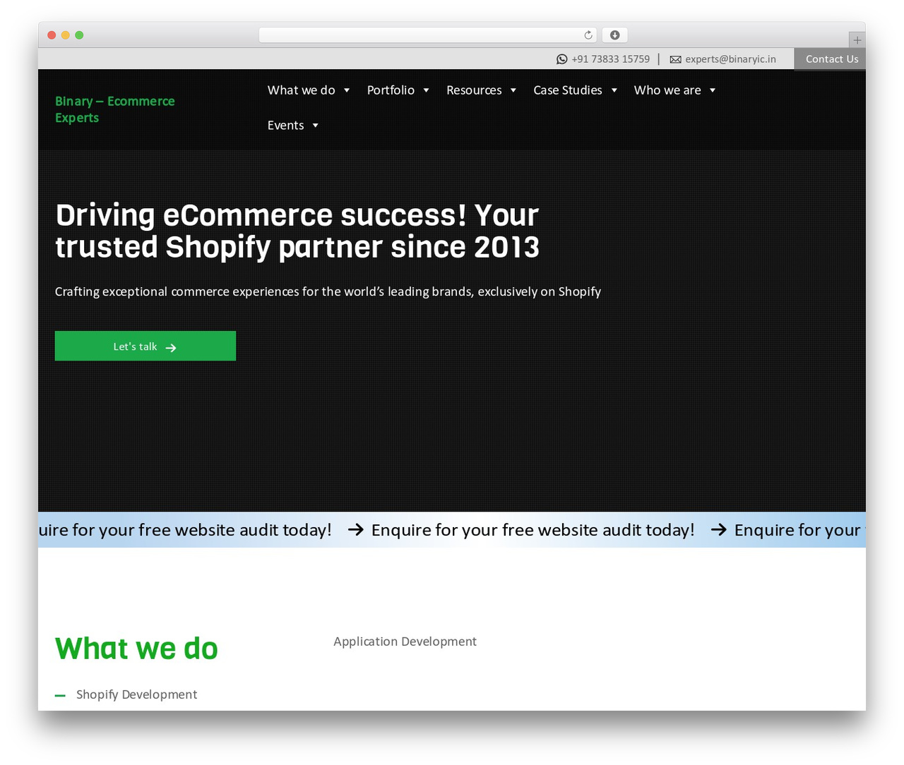 Binary WordPress store theme - binaryic.com Binary WordPress store theme - binaryic.com