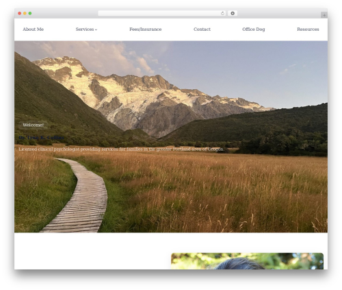 Blockscape WordPress theme design - drlynnkcollins.com