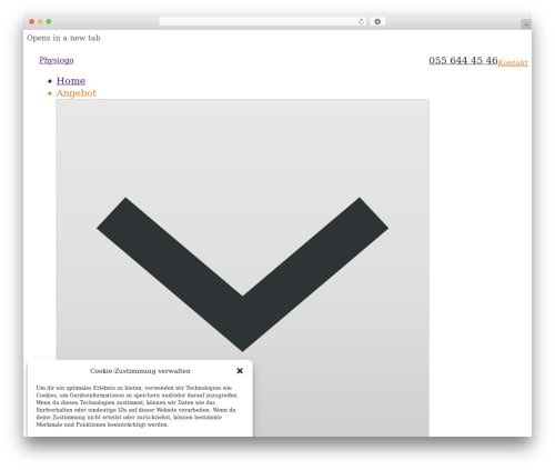 Nextbricks WordPress plugin - physiogo.ch