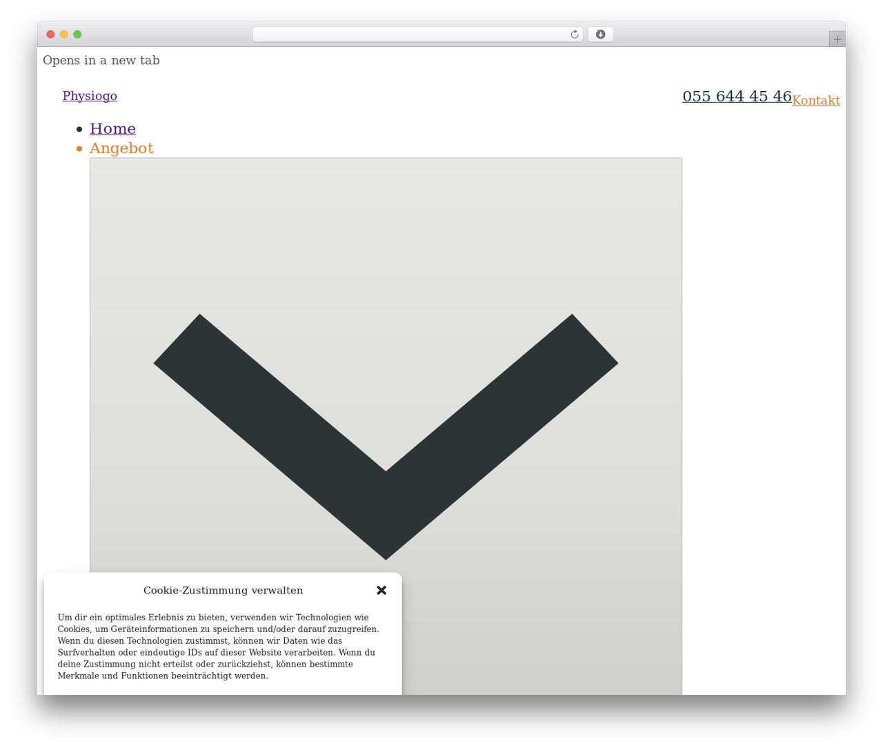 Bricks massage WordPress theme - physiogo.ch