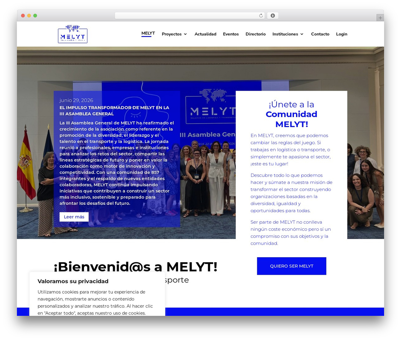 Divi theme WordPress - melyt.org