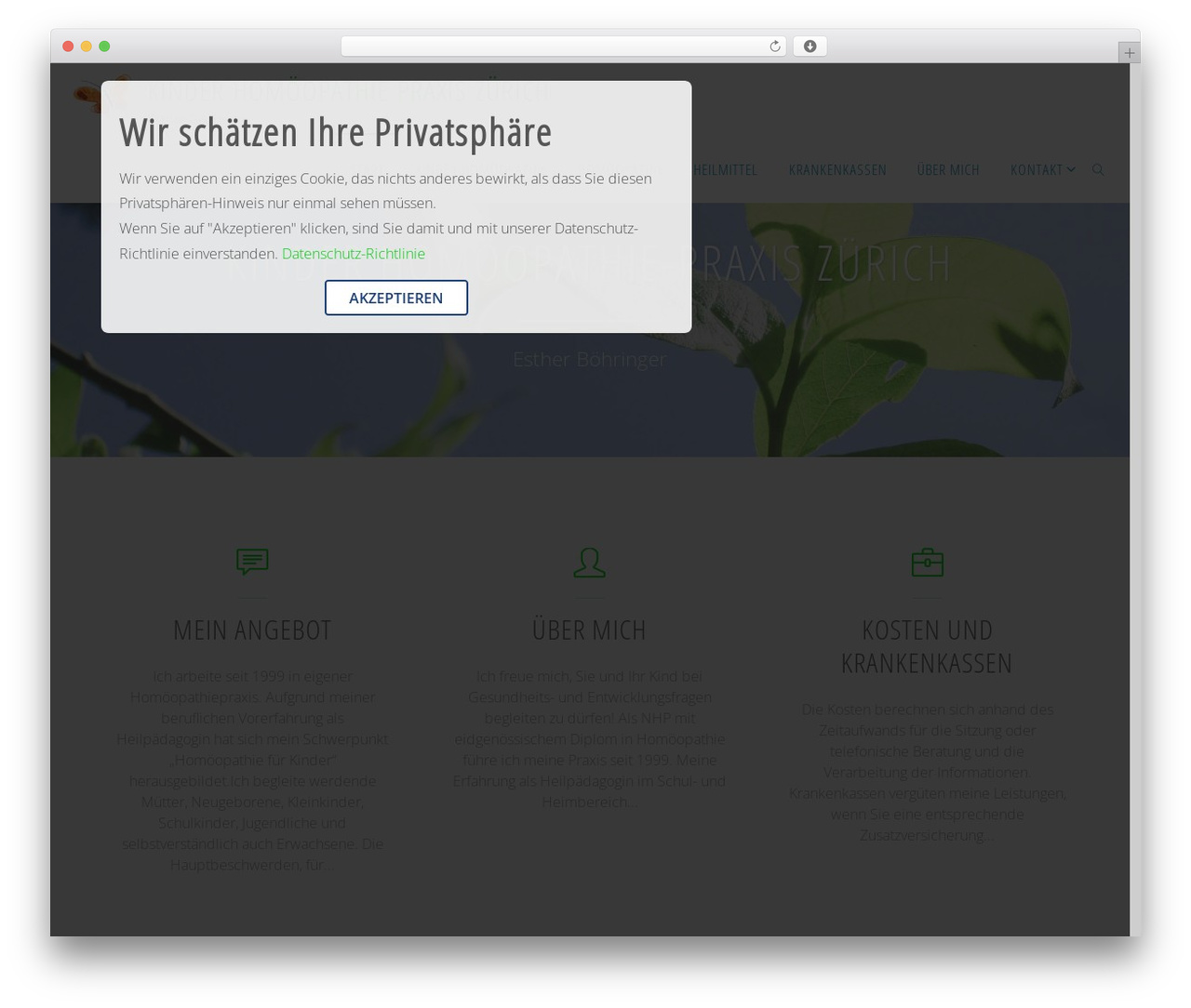 Fluida Child WordPress theme design - eboehringer.ch