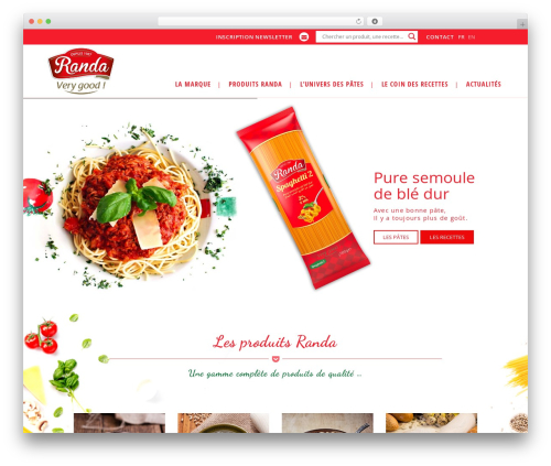 Site WP theme - randa.tn