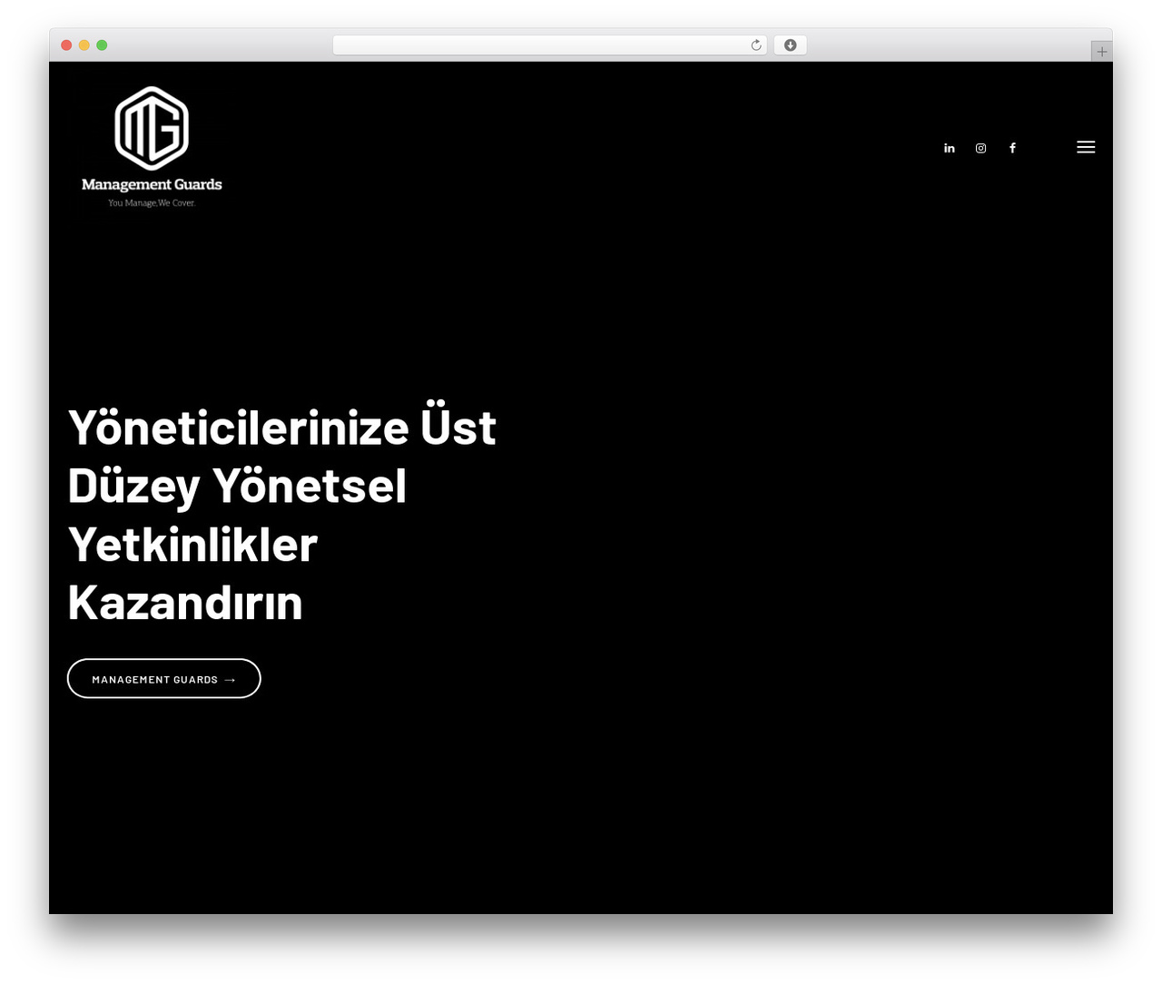Theme WordPress Piwo - managementguards.com