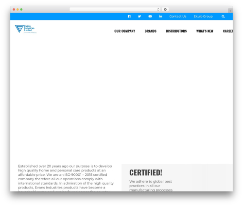 WordPress website theme Evans - evansng.com