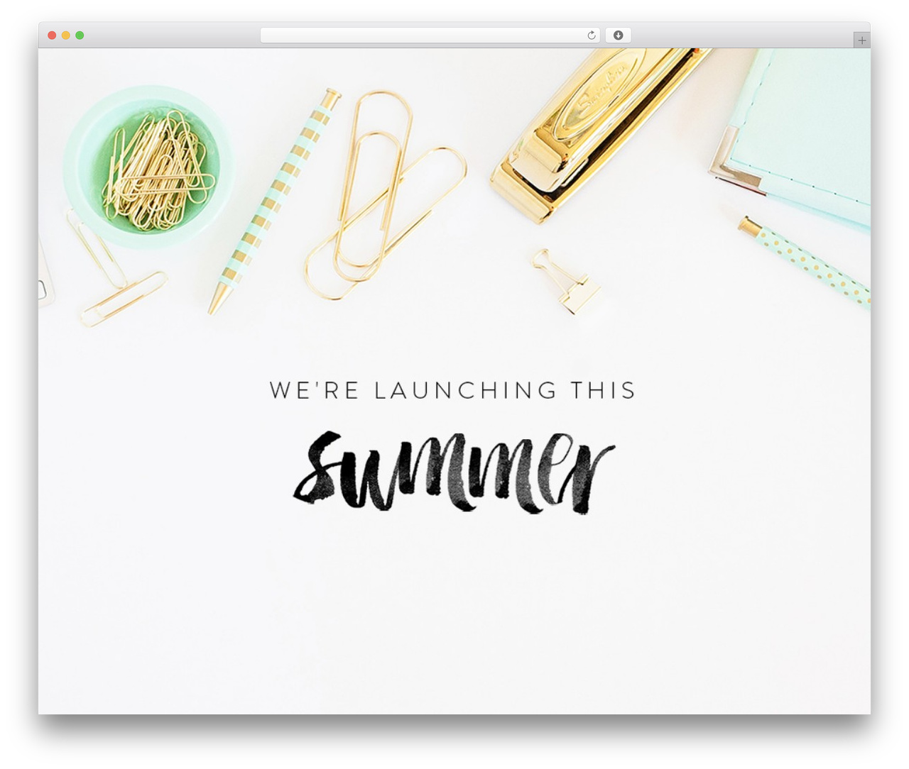 ChicSavvy theme WordPress - milevamarketing.com