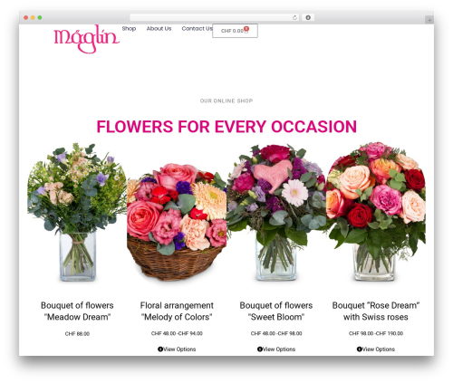 Code4rest theme WordPress - blumen-basel.ch