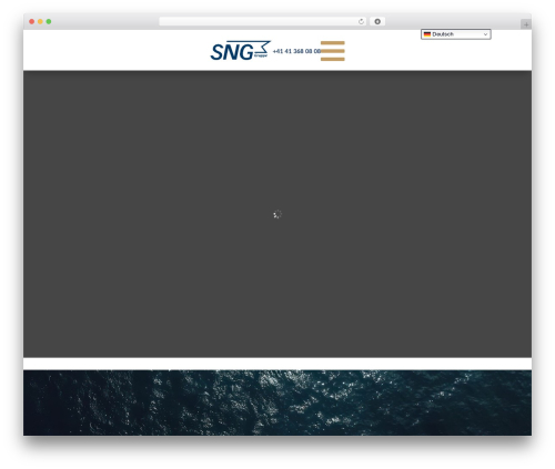 Team grid WordPress plugin - sng.ch