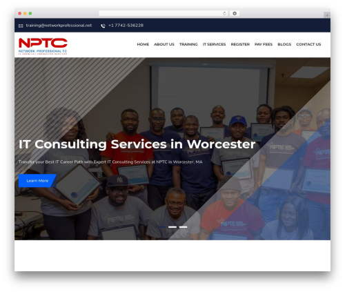 globex WordPress theme - networkprofessional.net