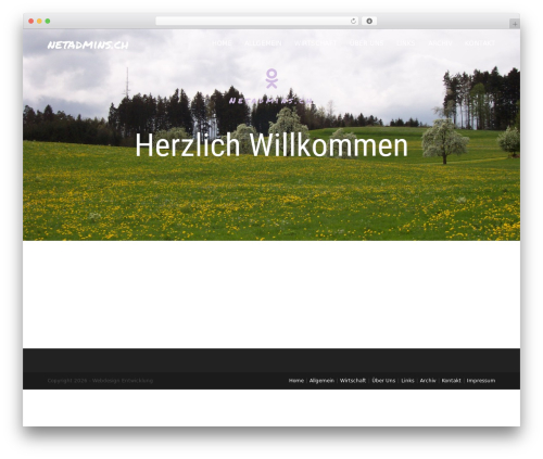 DSGVO für die Schweiz (dsgvo-fur-die-schweiz) free WordPress plugin - netadmins.ch
