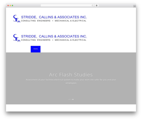 WordPress theme Divi - scaengineering.com