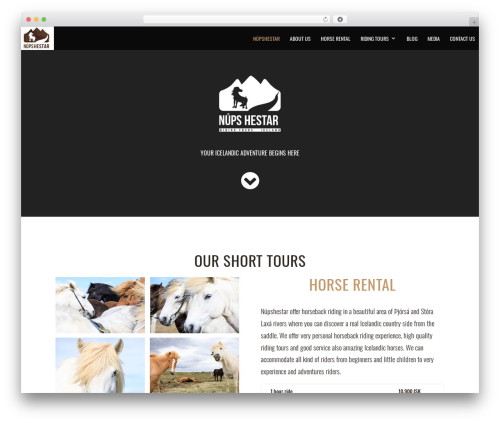 Battle Suit for Divi (ds-suit) free WordPress plugin - nupshestar.is Battle Suit for Divi (ds-suit) free WordPress plugin - nupshestar.is