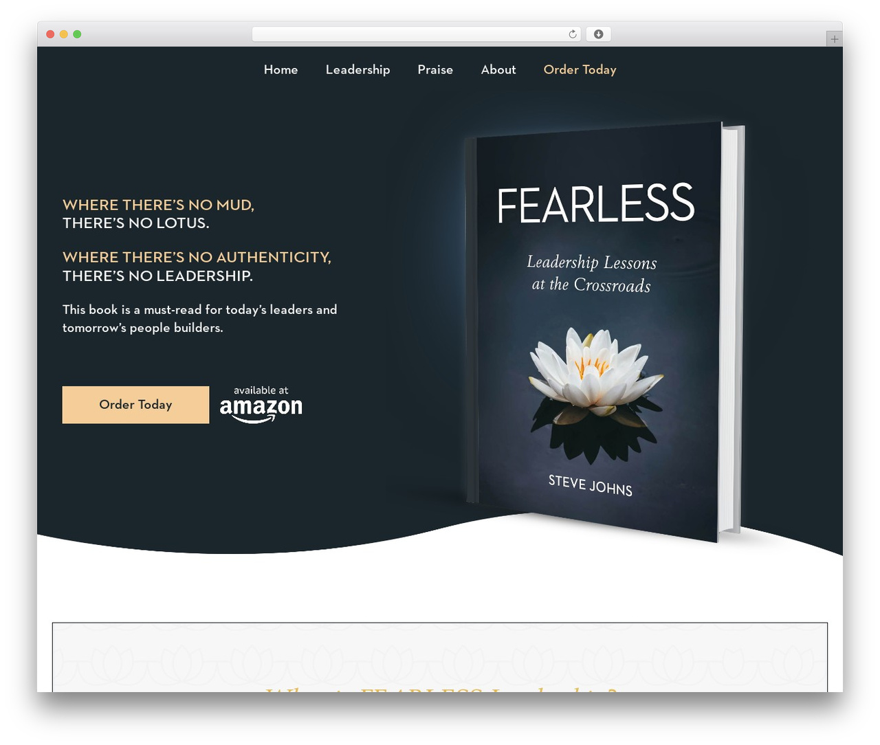 FEARLESS top WordPress theme - fearlessfundraisers.com