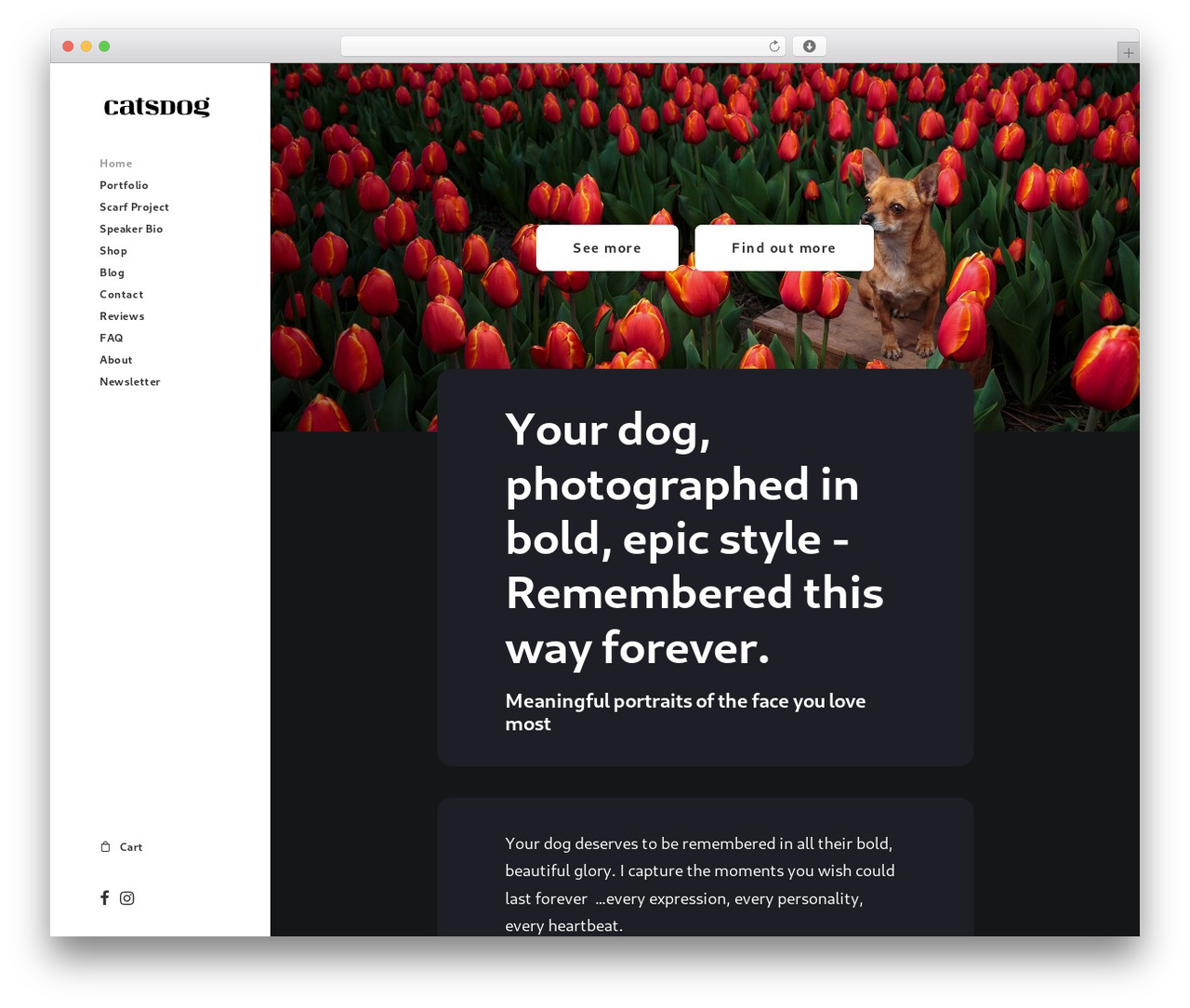 WordPress theme Uncode - catsdog.co.uk