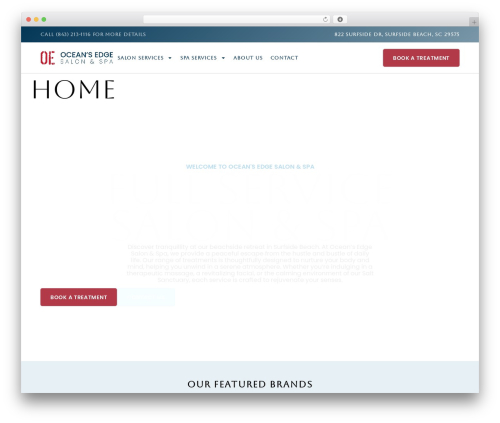 Signature field for elementor forms WordPress plugin - oceansedgesalon.com