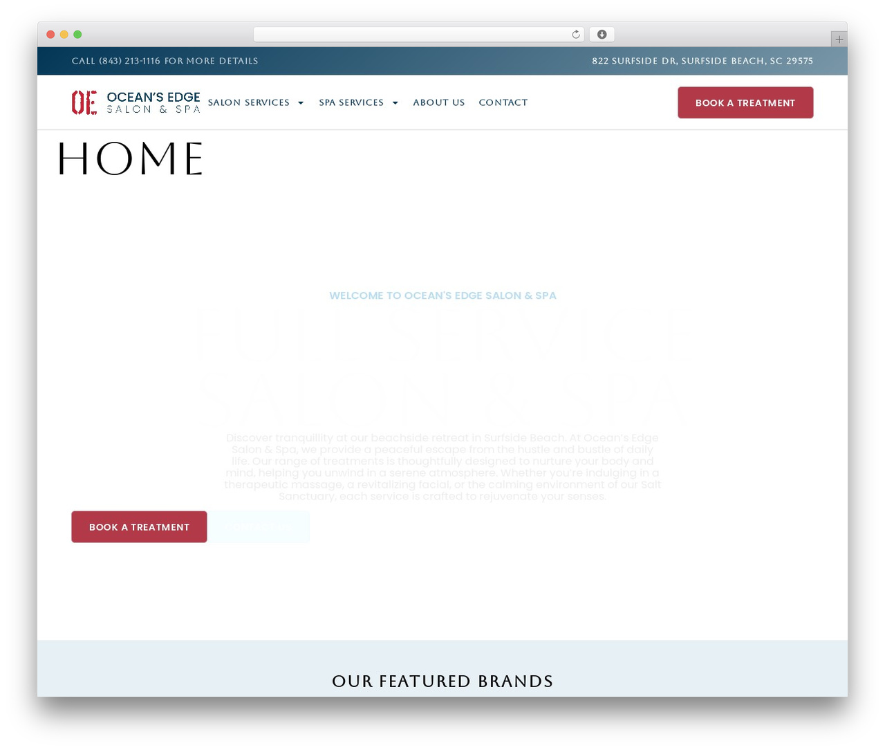 Hello Elementor theme WordPress - oceansedgesalon.com
