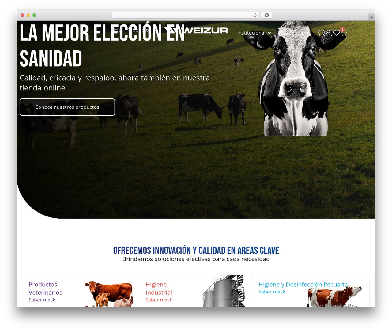 Hello Elementor Child WordPress theme design - weizur.com.co