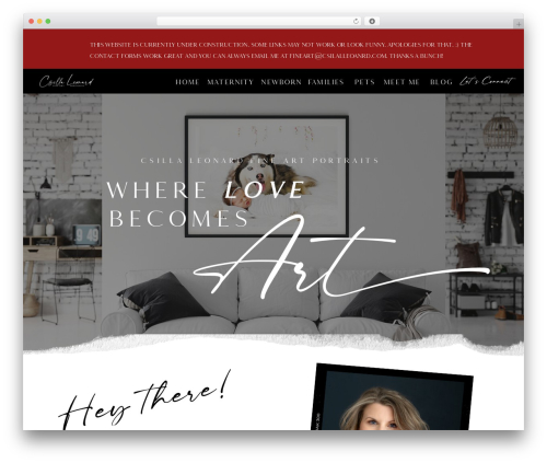 Showit theme WordPress - csillaleonard.com